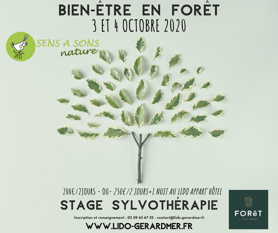 BIEN ÊTRE EN FORÊT